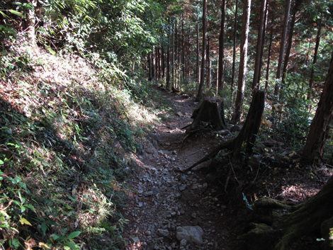 20151116hike (351)